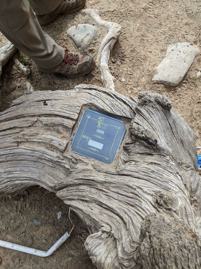 Counter Or Monitoring Station Found On A Log In Zion National Park