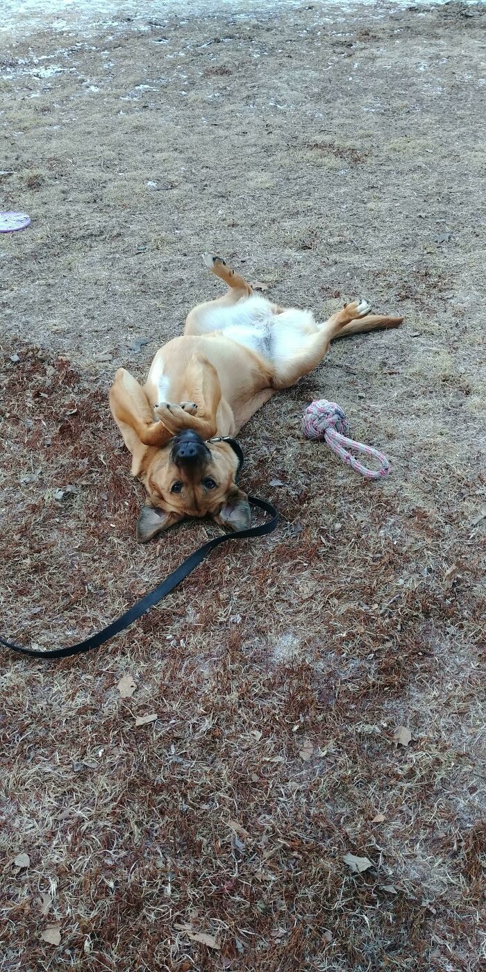 -12॰ C, Feels Like -19॰, And She Just Wants To Sit Outside Like This