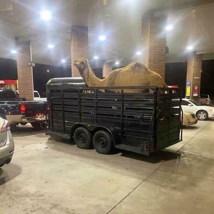 Anyone Else Get Their Stimulus Check?