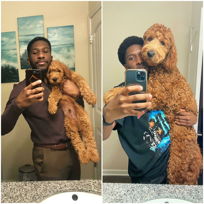 8 Weeks vs. 8 Months
