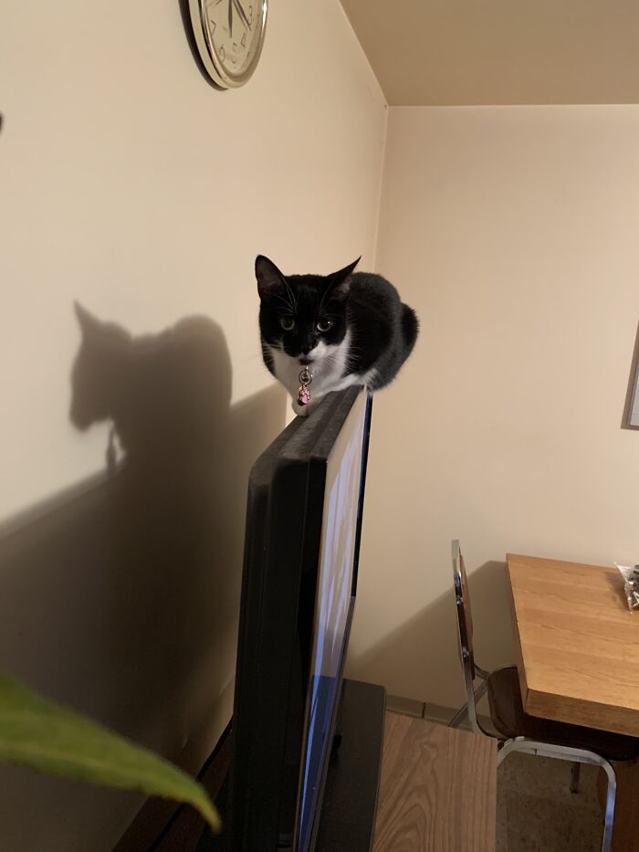 That’s An Odd Place To Sit