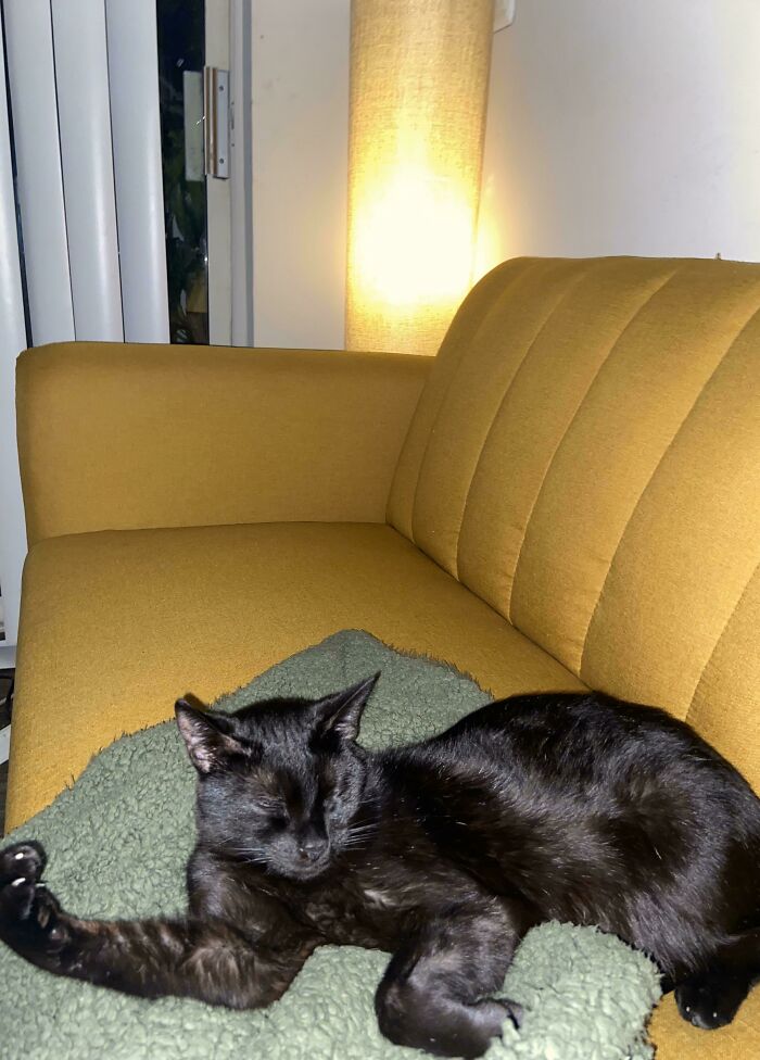 Kiesha Won’t Stop Flexing Her Muscles At Me