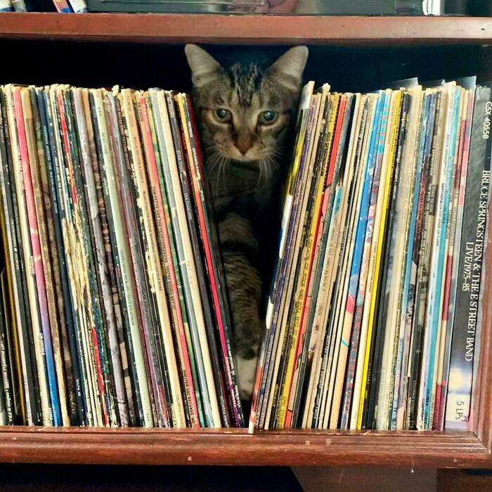 There Is Not A Space He Won’t Explore