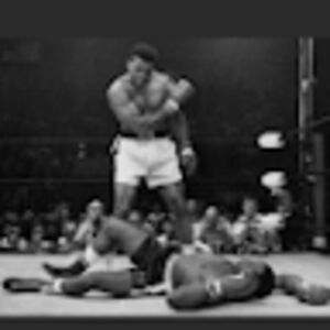 kamarspechtstudent avatar