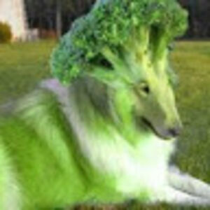 asherwilliams avatar