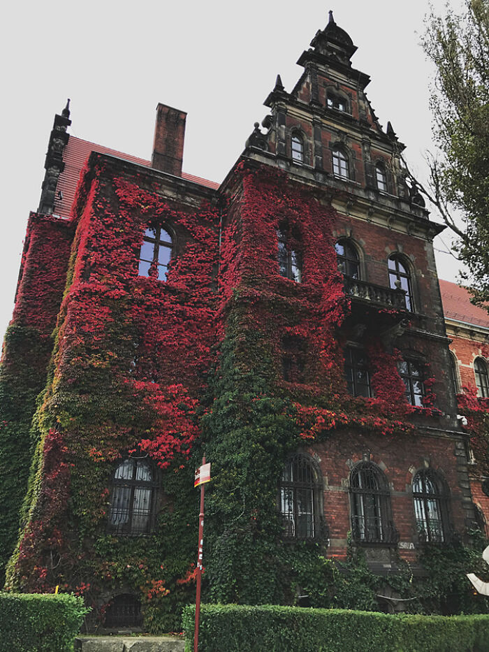 The National Museum In Wroclaw, Poland
