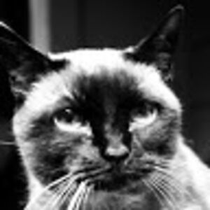 westworldemployee7 avatar