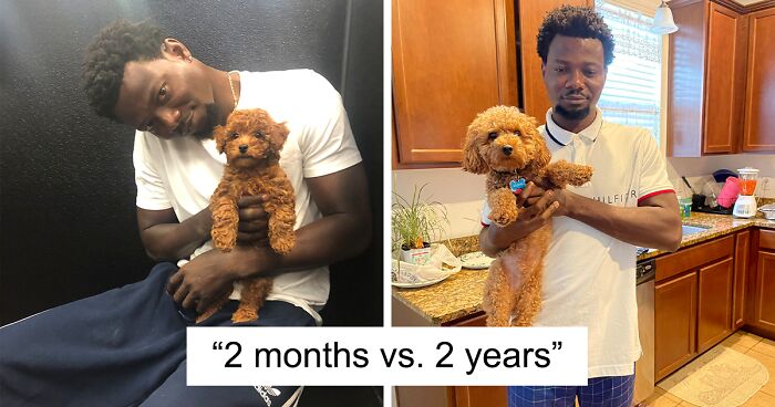People Are Sharing Sweet ‘Then Vs. Now’ Photos Of Their Dogs Growing Up Quickly (35 Pics)