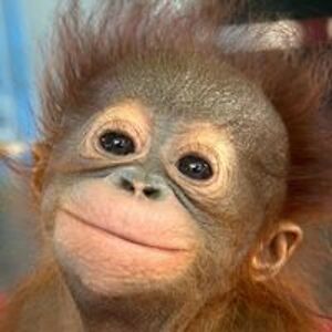 hu_flung_dung avatar