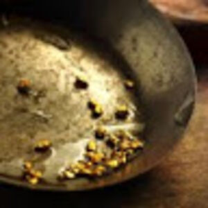 ainsleighstoveken avatar