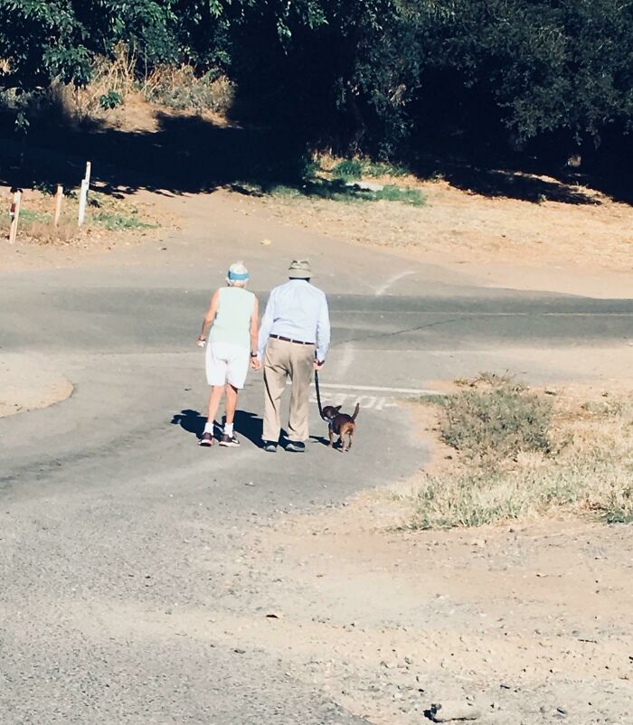 This Sweet Old Couple Goes On Walks, Holding Hands, Every Morning With Their Little Dog. Warms The Heart