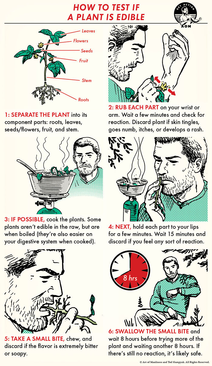 How To Test If A Plant Is Edible