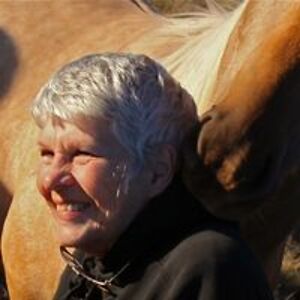 pamelapalmer303 avatar