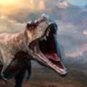 hezekiahrochester avatar