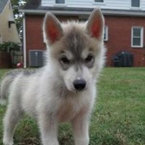 utility2717162123 avatar