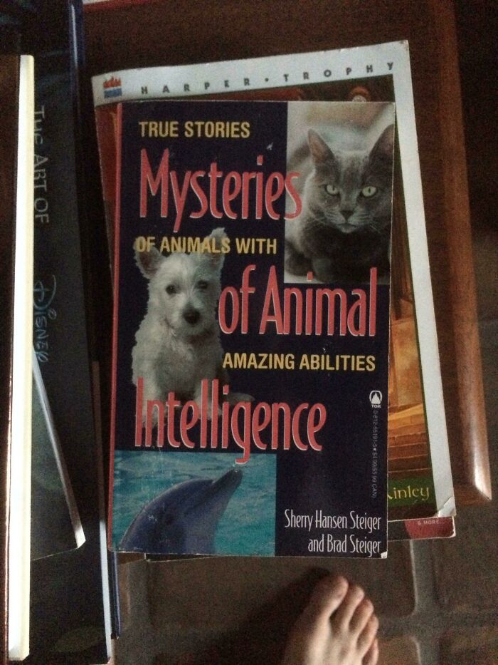 Of Animals, With... Of Animals