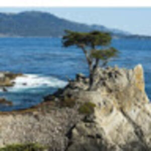 kelseyrichards avatar