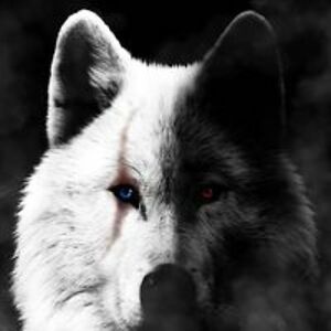 lolmichelle85 avatar