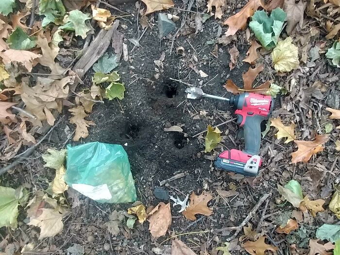 I Guess It's Not Stupid If It Works (Planted 300 Bulbs In 2 Hours)