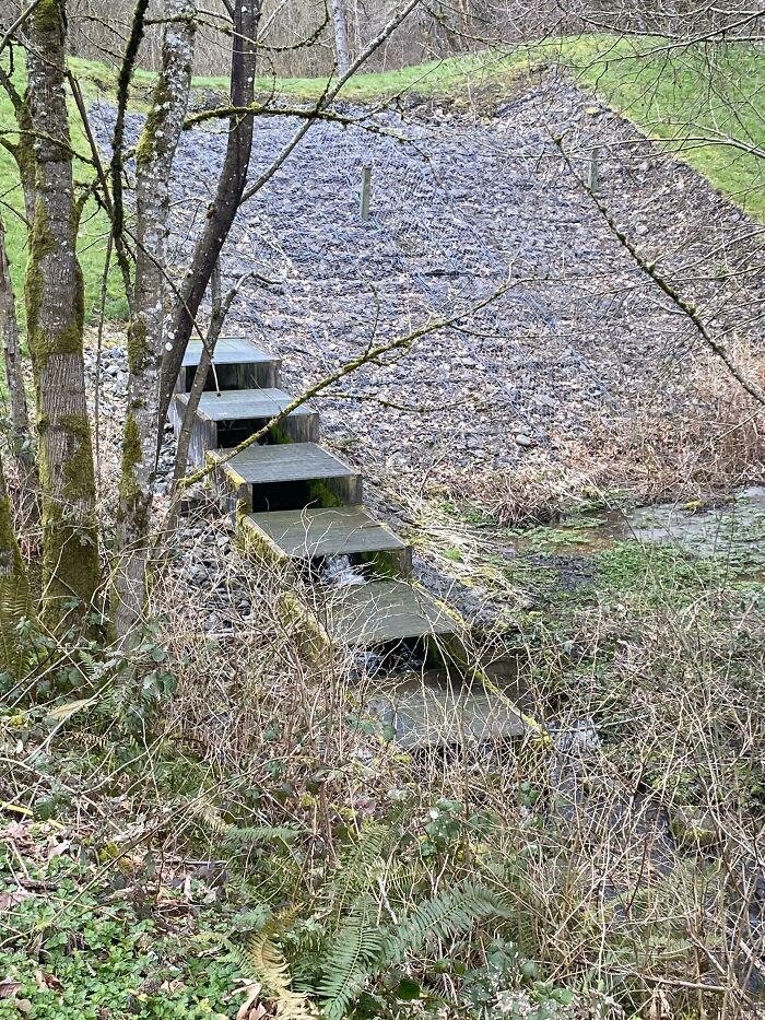 Found Coming Out Of A Small Hill. Water Alternates Between Either Side, Going Down Each Step