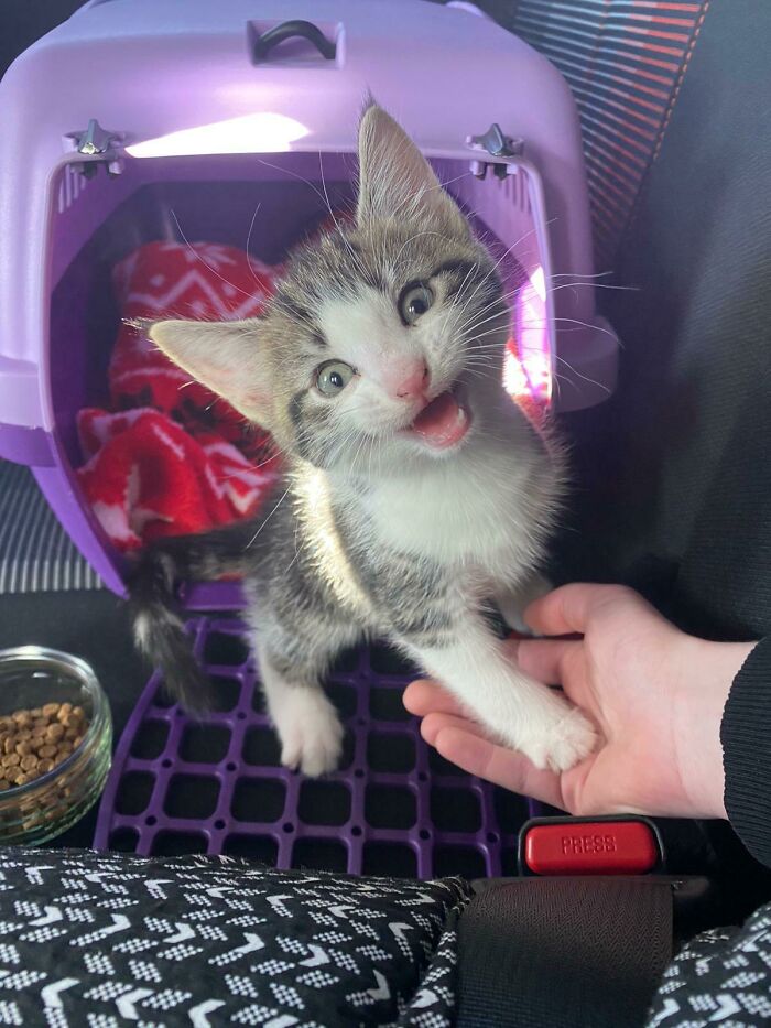 Excited To Arrive At Her Forever Home