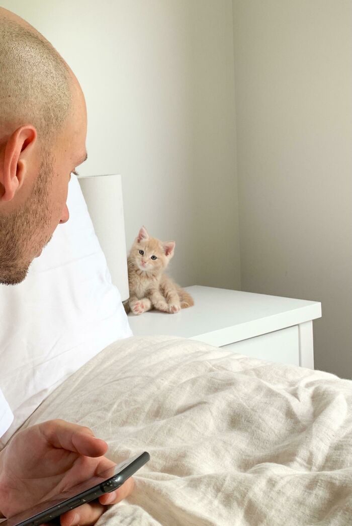 First Day In His New Forever Home