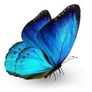 winkeyencinas avatar