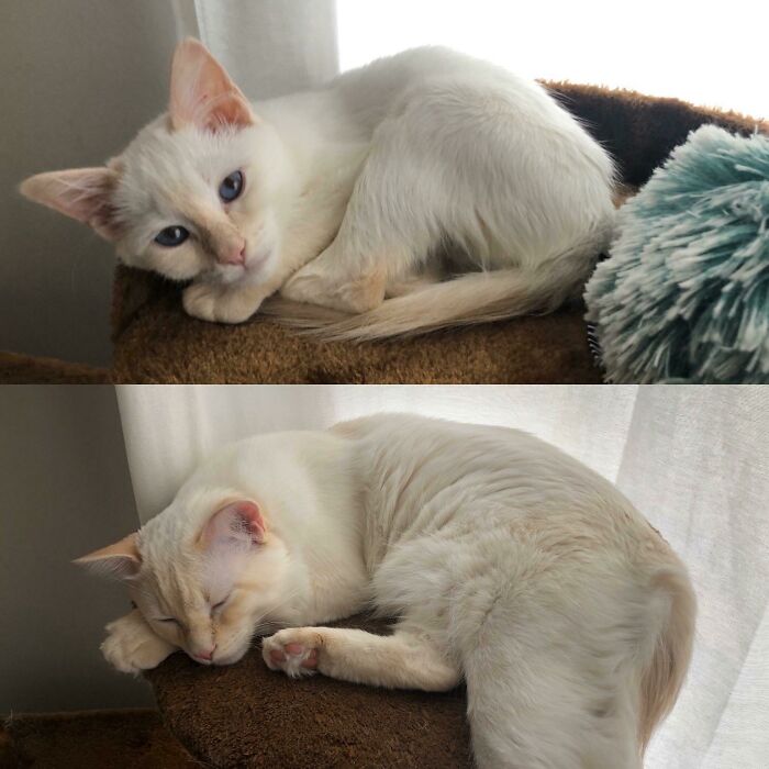 After Fighting A Life Threatening Virus This Winter, He Turns 1 Year Old Today!