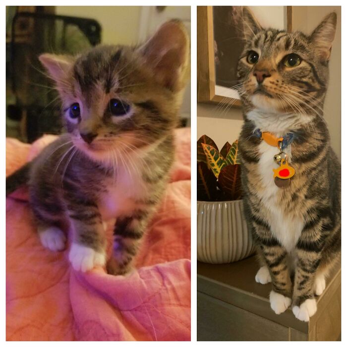 From A Little Over Two Months To Almost 2 Years