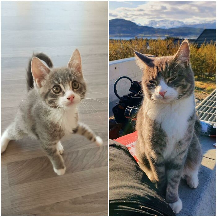 Two Years Of Growing Up