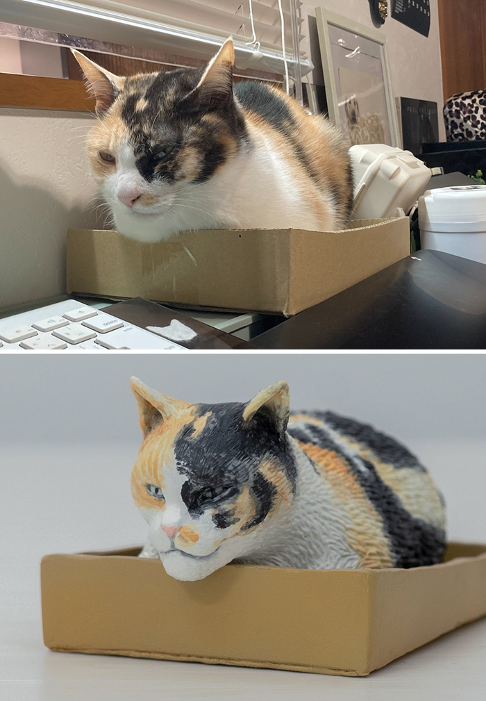 Funny-Animals-Photo-Sculptures-Meetissai