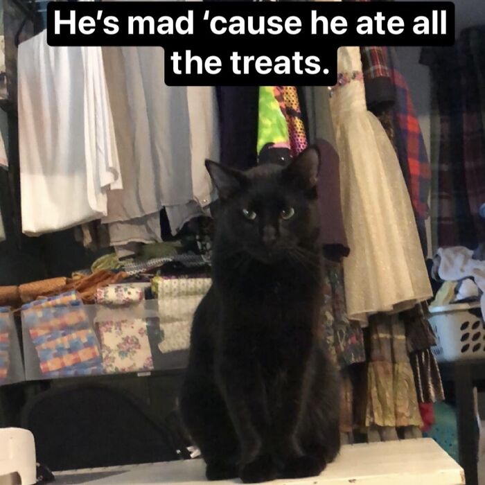 It’s My Fault He’s A Brat.