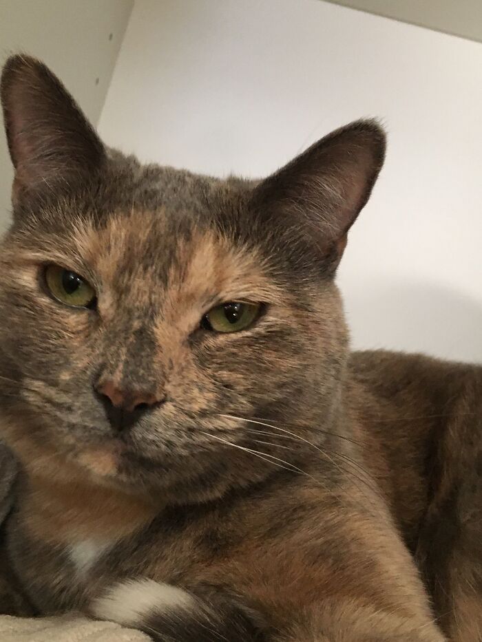 Let Me Take My Nap In Peace Or Be Destroyed