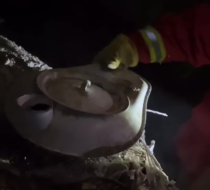 Turns Out, Some Californians Had Hidden Bomb Shelters In Their Homes And This Woman Found One Turns Out, Some Californians Had Hidden Bomb Shelters In Their Homes And This Woman Found One