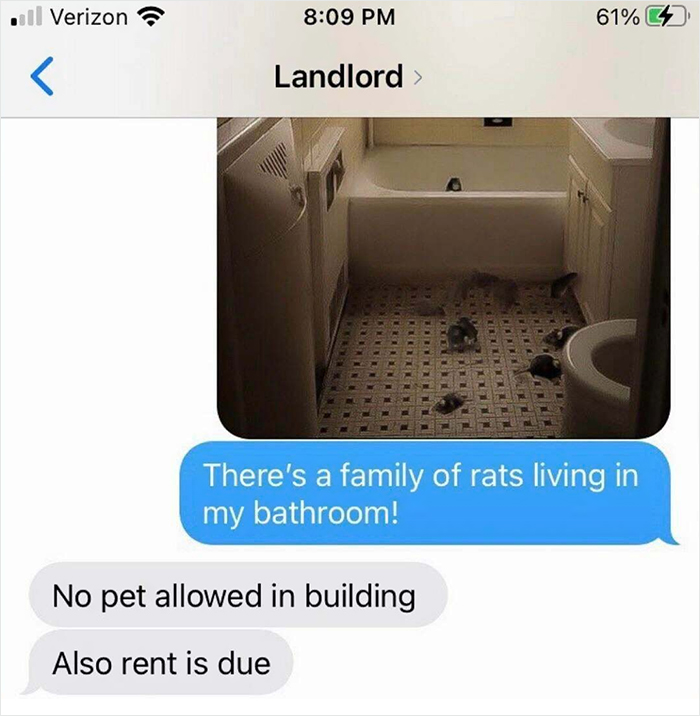 NYC Landlords Like