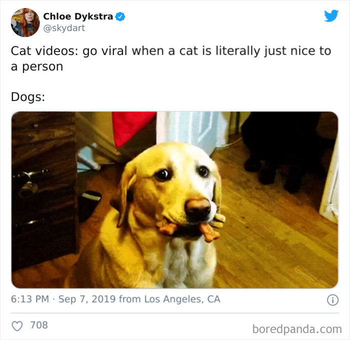 Cat-vs.-Dog-People-Tweets
