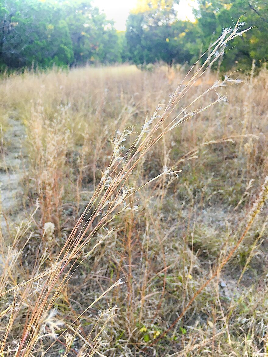 Wildlife Photography Wildlife Photography