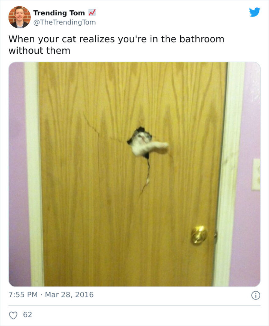 The Truth Has Been Spoken