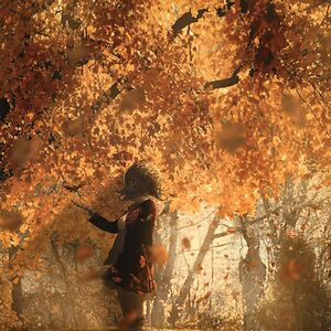autumn14895 avatar