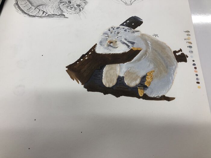 A Little Pallas Cat Study I Did Recently. Look At All Hat Floof!!!! @art_by_juliaaa On Instagram