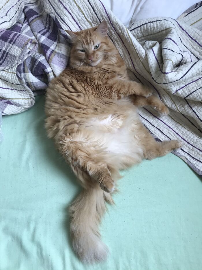 She Loves Sleeping In My Bed