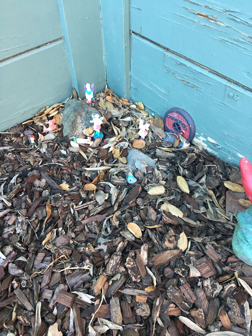 10 Weird And Cool Things I Saw On A Walk