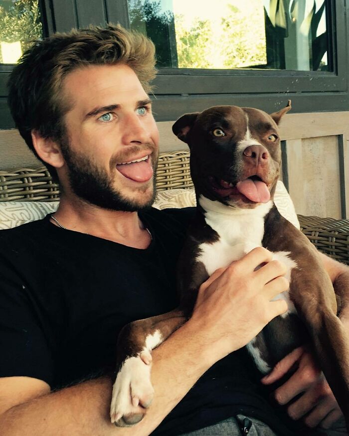 Man with a beard holding a brown and white dog, both playfully sticking out their tongues showing love for dogs.