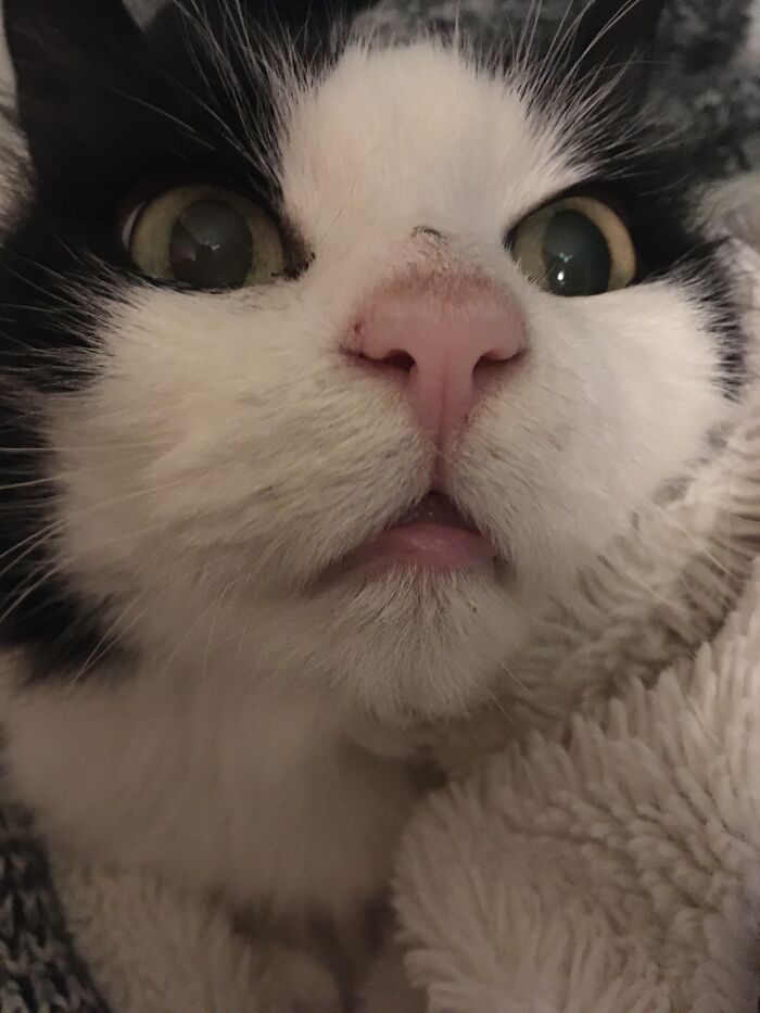 The Look Of Amazement