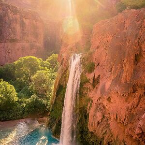 davitamitchell avatar