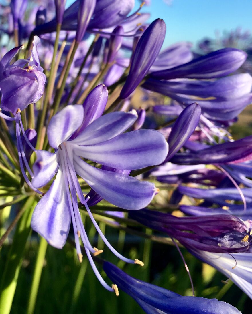 Wildlife Photography Wildlife Photography