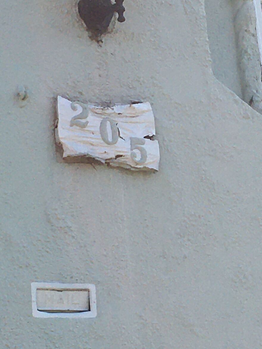 10 Weird And Cool Things I Saw On A Walk