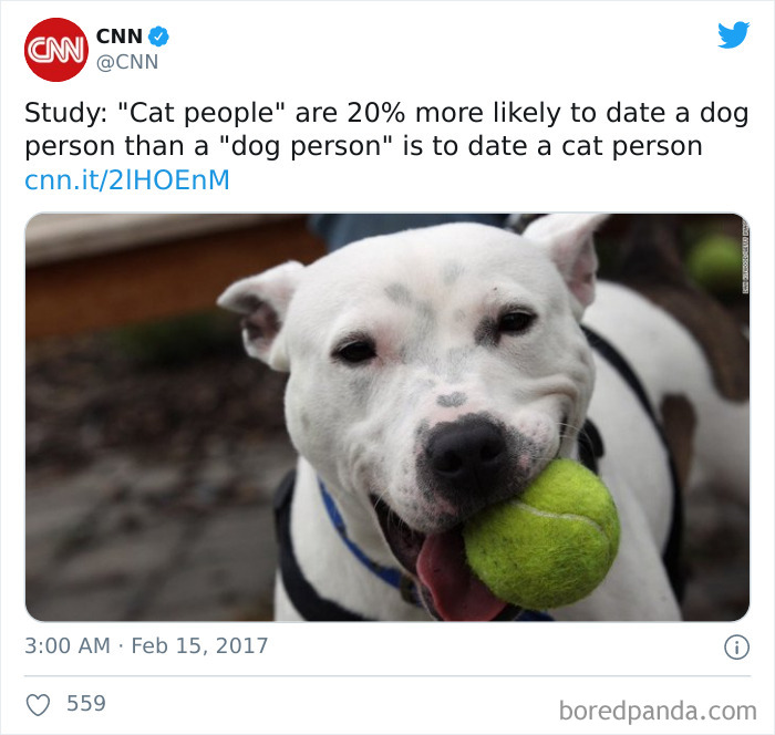 Cat-vs.-Dog-People-Tweets