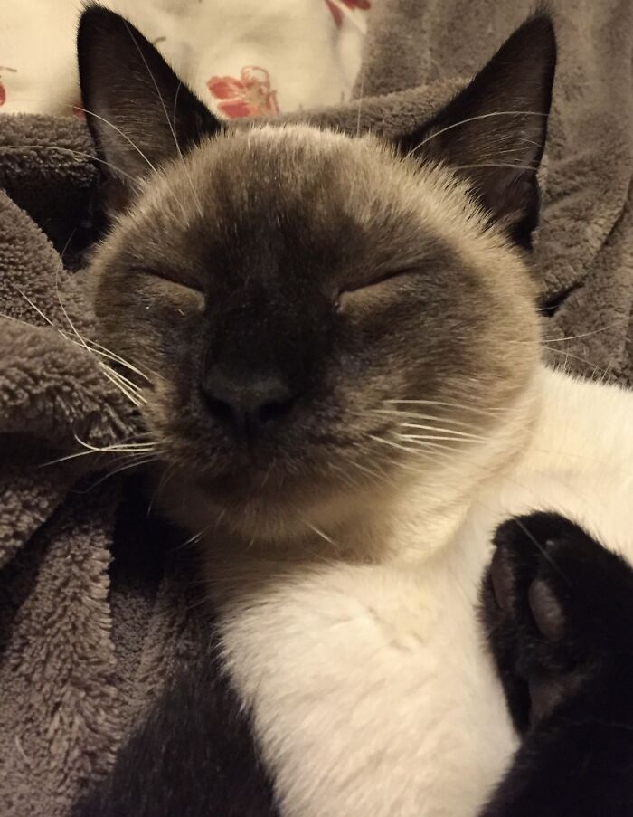 Happiness Is Joy To The Soul.