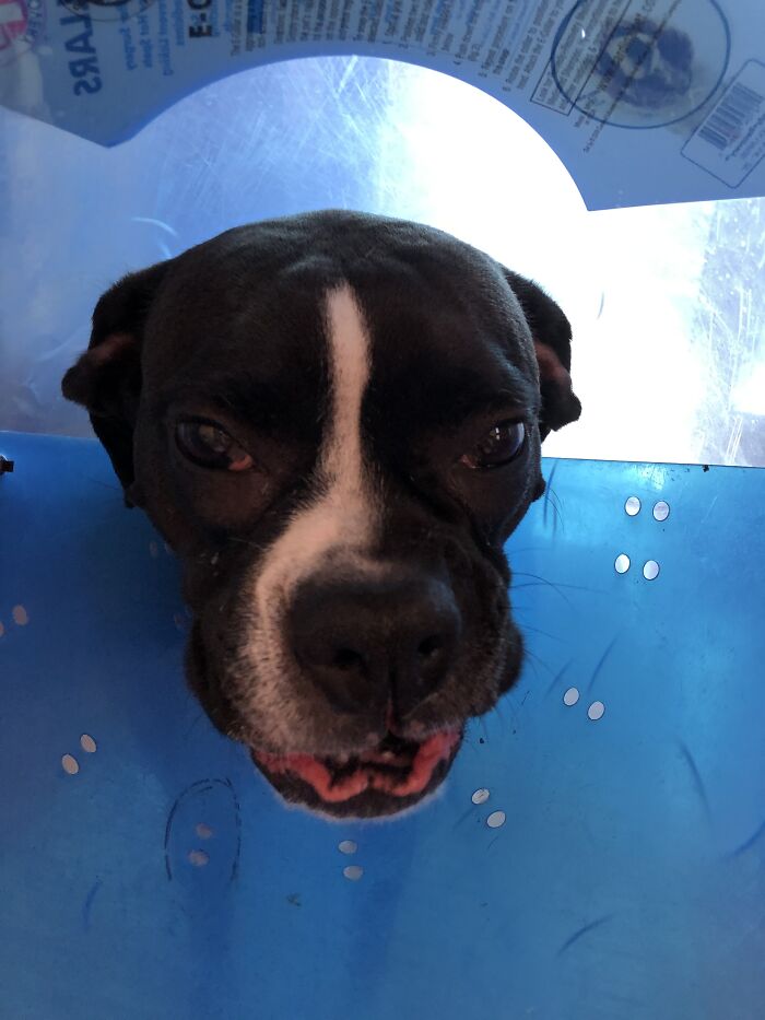 She Really Hated That Cone